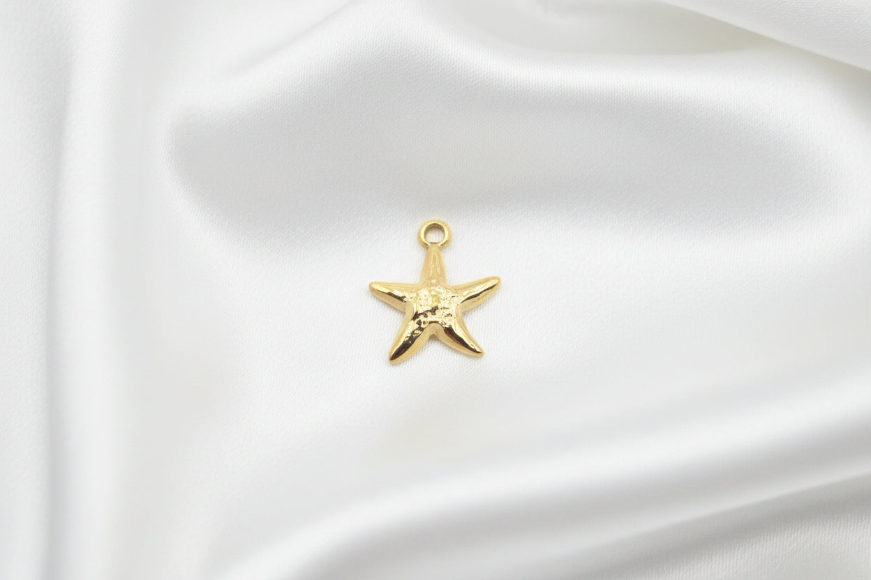 Charm Etoile doré