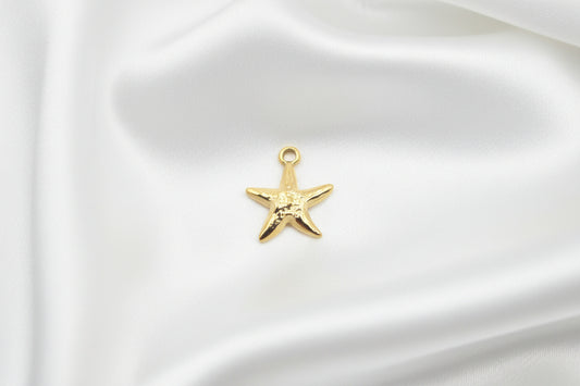 Charm Etoile doré